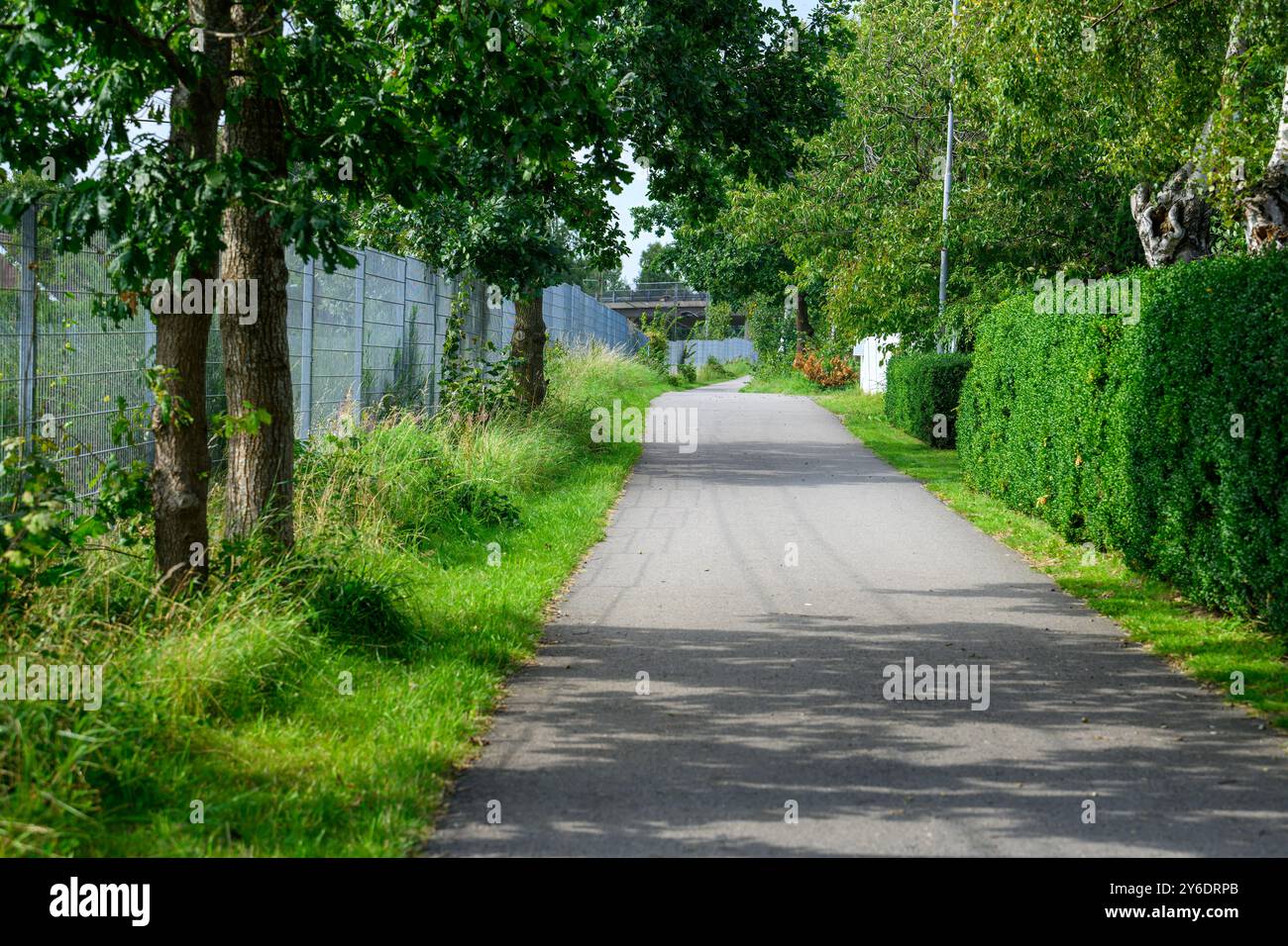Un sentier paisible bordé d'arbres et de haies soigneusement taillées invite à une promenade par une journée lumineuse et ensoleillée, parfaite pour profiter de la nature et de la tranquillité Banque D'Images