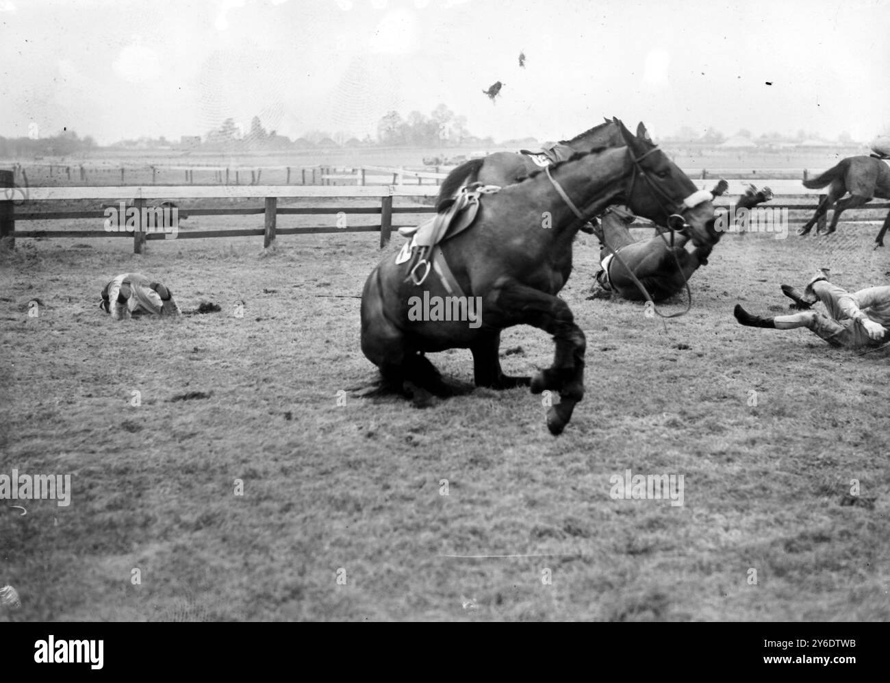 COURSES HIPPIQUES CHELTENHAM COTSWOLD STEEPLECHASE FALLING HORSES & JOCK ; 13 MARS 1963 Banque D'Images