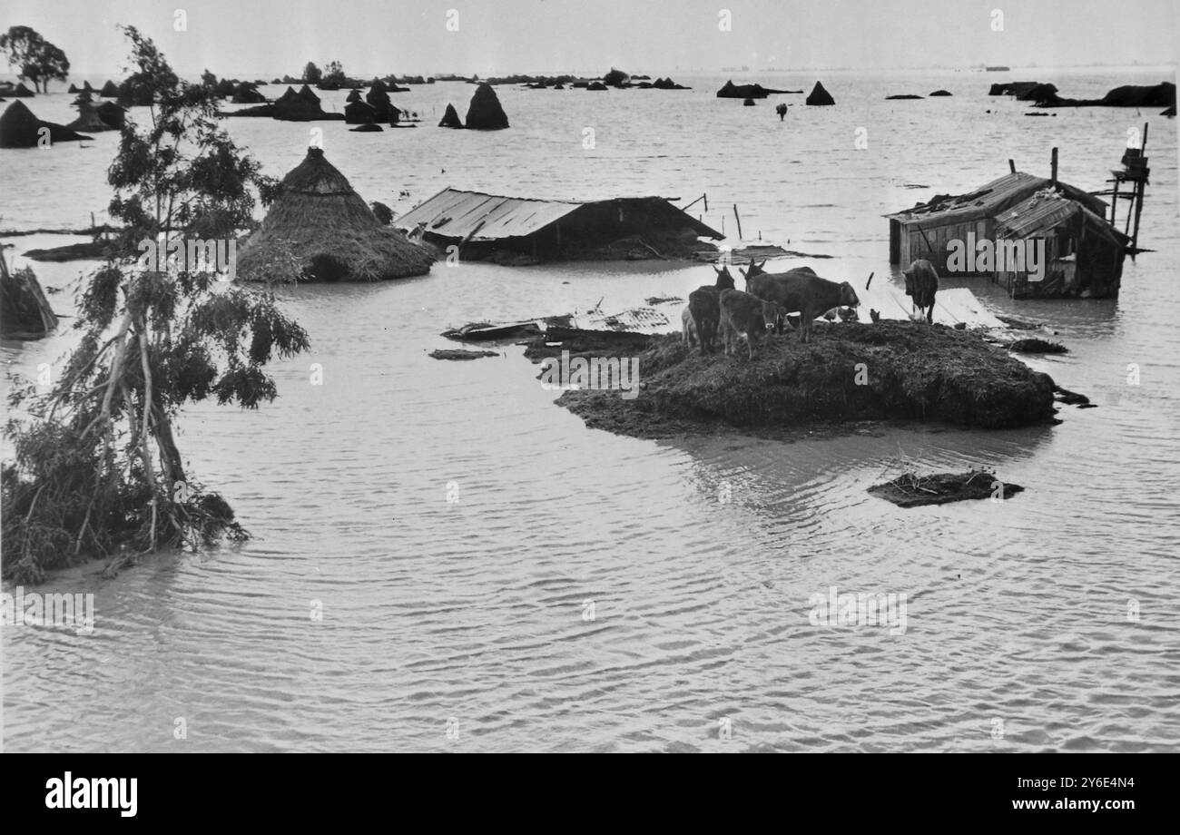 INONDATIONS PAYSANS BLOQUÉS DANS DES HUTTES DANS LE MAROC INONDÉ ; 13 JANVIER 1963 Banque D'Images