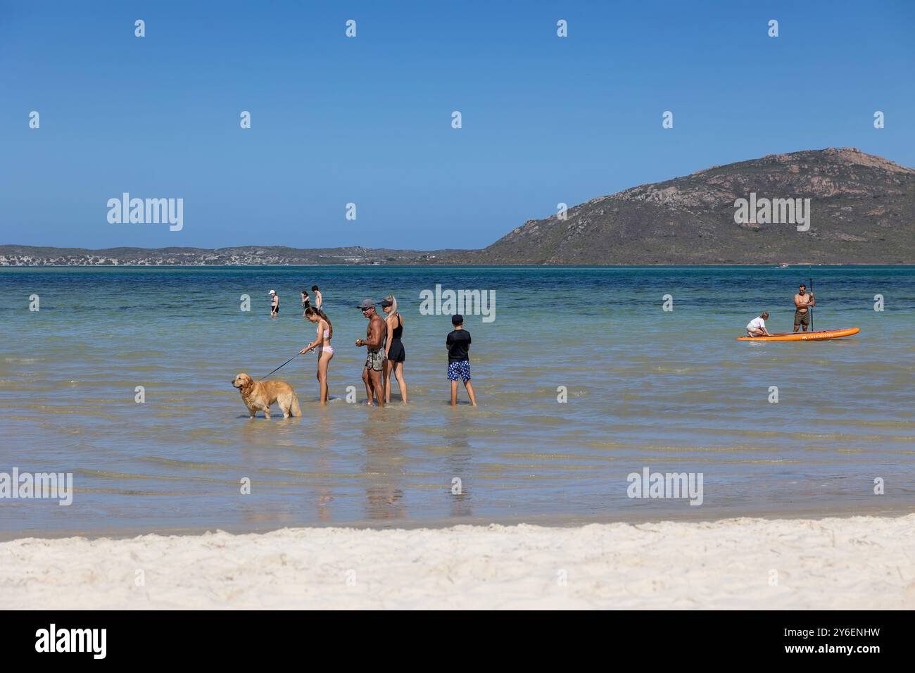 Shark Bay en été, soleil, eaux peu profondes et moments joyeux au bord de la lagune Banque D'Images
