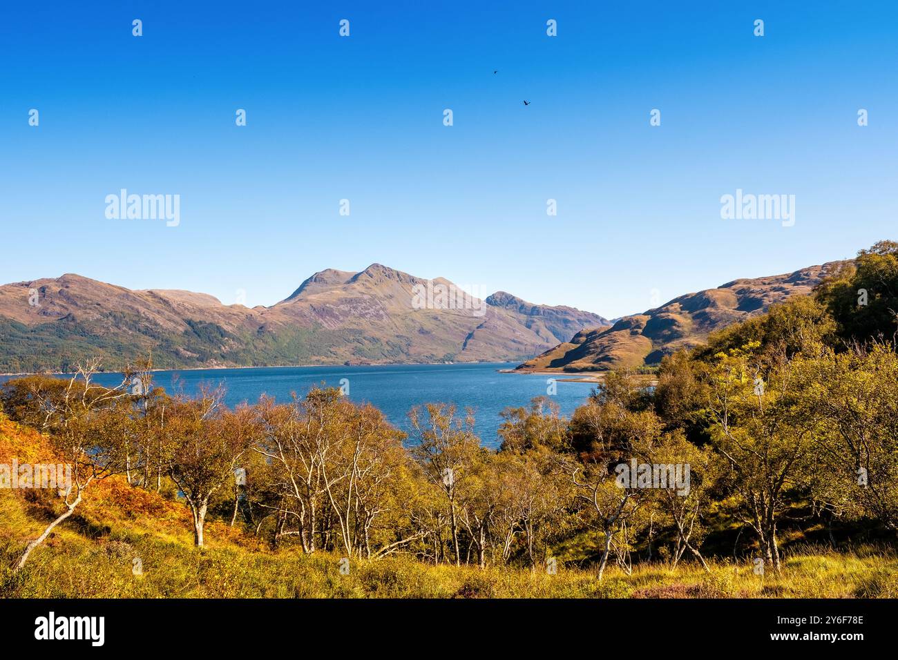 Beinn Sgritheall, un munro / montagne sur le Loch Hourn, Écosse Banque D'Images