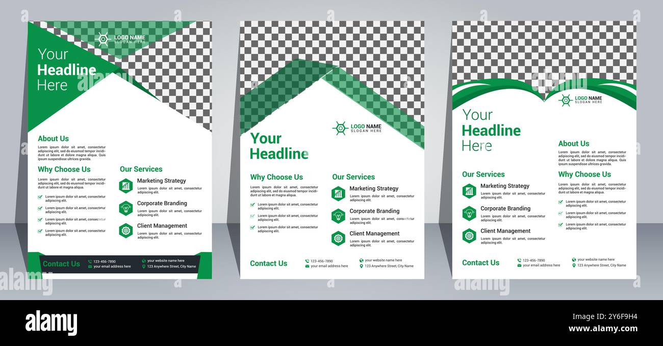 Modèle de conception de flyer professionnel Illustration de Vecteur