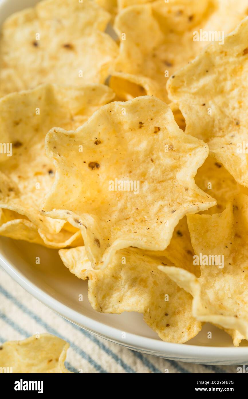 Cuillères à copeaux de tortilla de Cron biologique dans un bol Banque D'Images