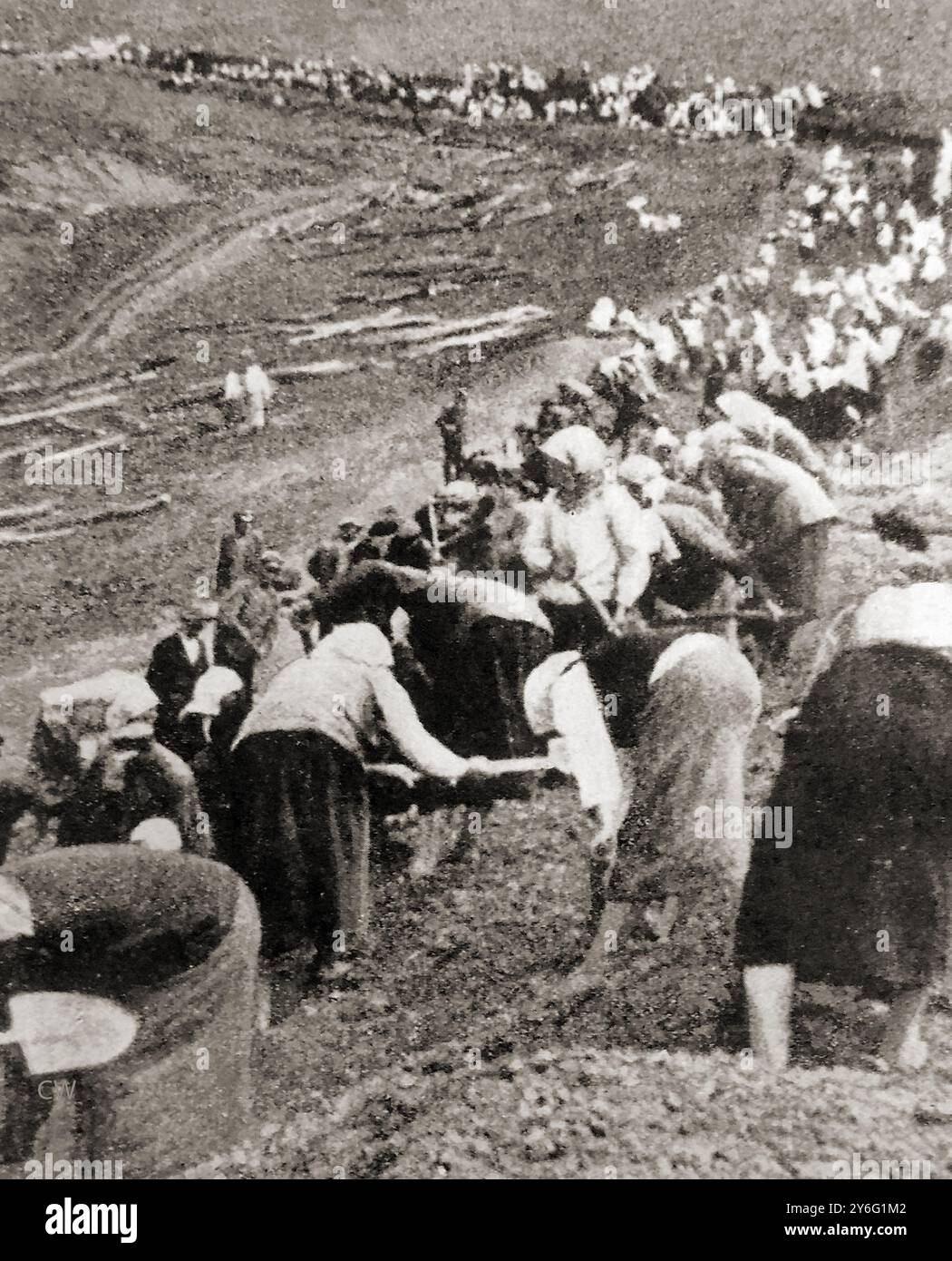 Seconde Guerre mondiale 1941 - les femmes russes se sont engagées à creuser des défenses sur les routes de Moscou et Leningrad alors que les nazis avancent. - Zweiter Weltkrieg 1941 – Russische Frauen sind beim Vormarsch der Nazis damit beschäftigt, Verteidigungsanlagen auf den Straßen nach Moskau und Leningrad auszuheben. – Zweiter Weltkrieg 1941 – Russische Frauen sind beim Vormarsch der Nazis damit beschäftigt, Verteidigungsanlagen auf den Straßen nach Moskau und Leningrad auszuheben. –Вторая мировая война, 1941 год. Русские женщины рыли оборонительные сооружения на дорогах в Москву и Ленинград во время наступления нацистов. Banque D'Images