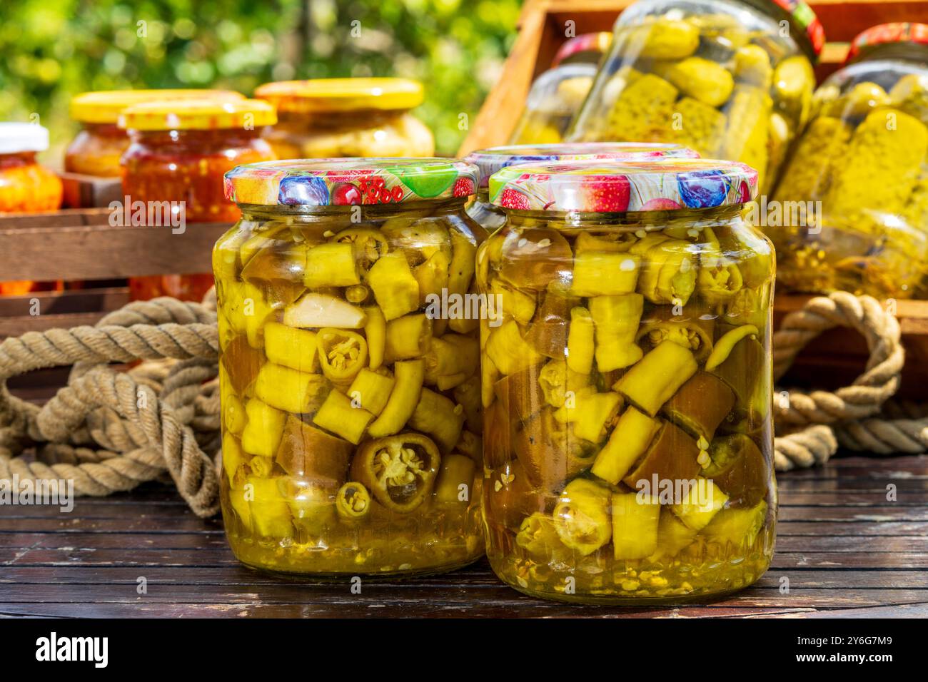 Piments forts en conserve au vinaigre. Piments forts marinés Banque D'Images