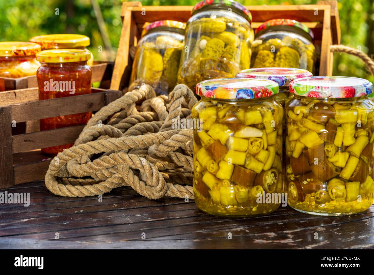 Piments forts en conserve au vinaigre. Piments forts marinés Banque D'Images