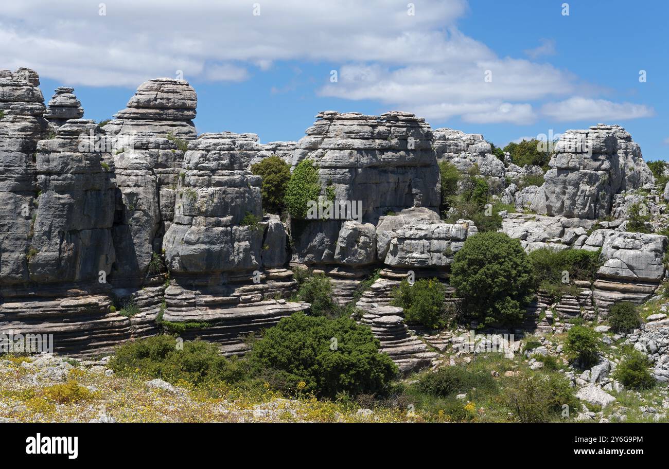 Formations rocheuses massives avec arbres et ciel bleu dans un paysage naturel boisé, montagnes Karst, Torcal Alto, El Torcal de Antequera, Sierra del Torcal Banque D'Images