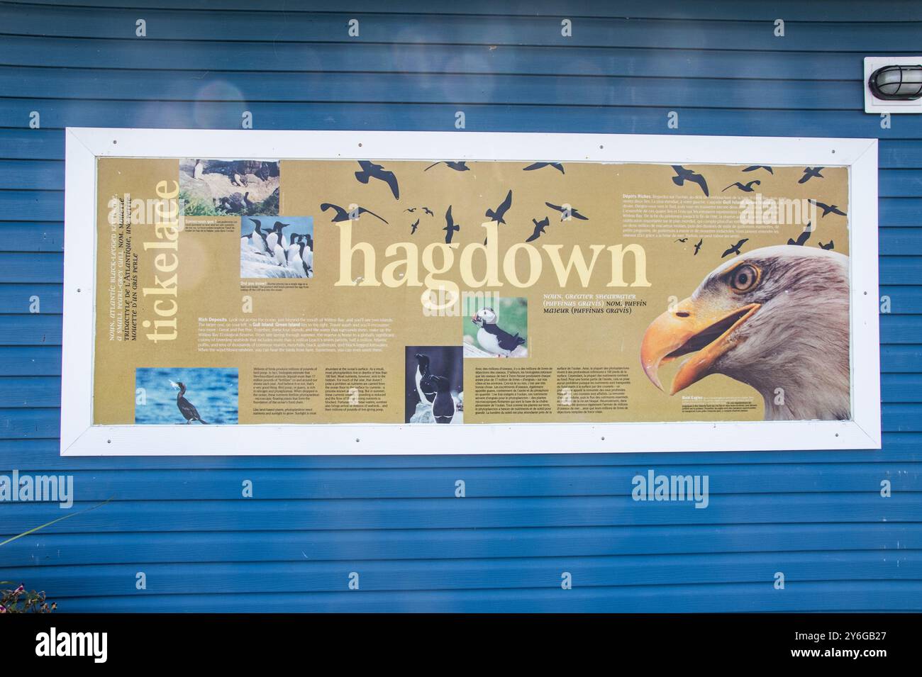 Panneau d'information sur les oiseaux de la réserve écologique sur Harbour Road à Witless Bay, Terre-Neuve-et-Labrador, Canada Banque D'Images