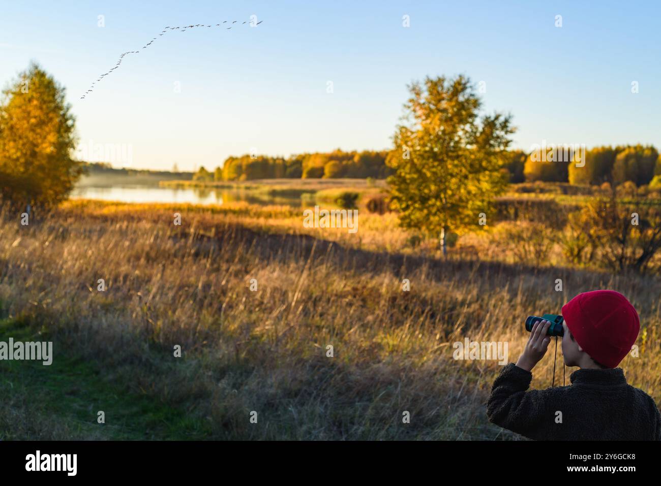 Jeune observateur d'oiseaux regardant un troupeau d'oiseaux se préparant à migrer vers les pays du Sud le jour d'automne Banque D'Images