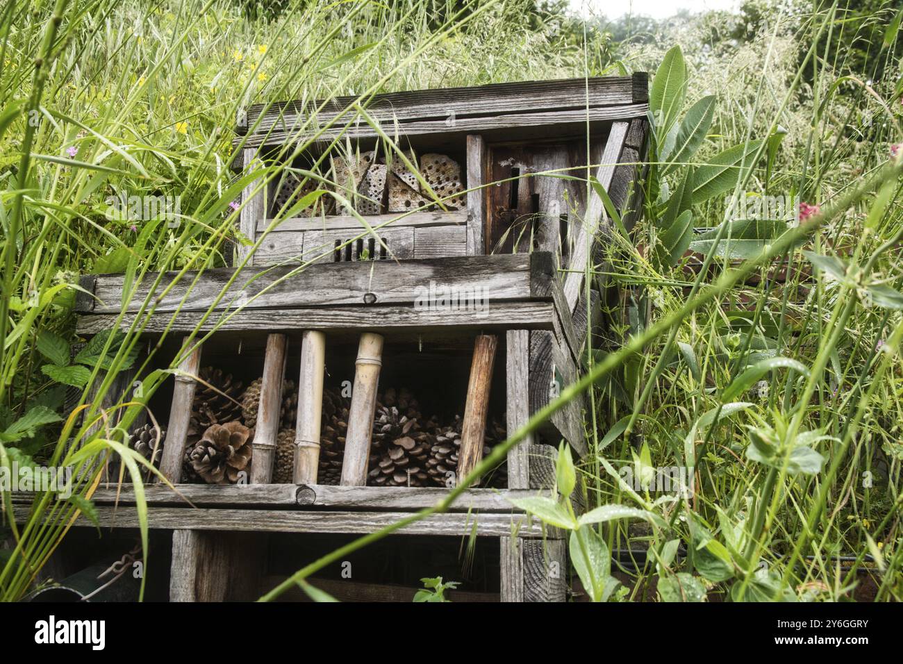 Hôtel en bois de bricolage construit insecte et abeille dans le jardin d'une maison de ville. Gros plan et détails Banque D'Images