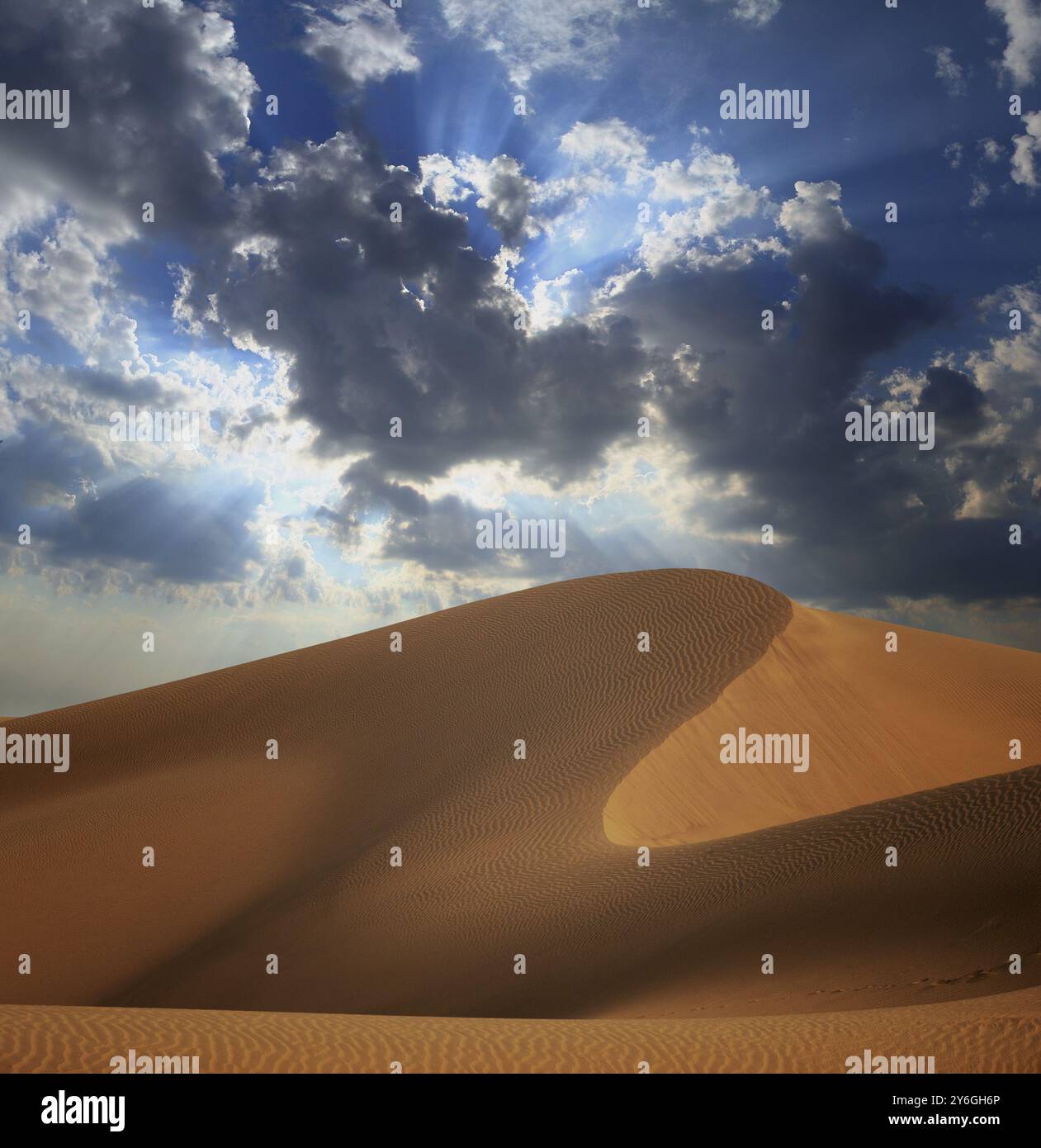 Grande dune de sable dans le paysage du désert du Sahara Banque D'Images