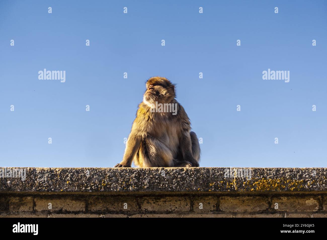 Belle vue de paysage de singe depuis Gibraltar Skywalk dans le sud de l'Espagne, Royaume-Uni Banque D'Images