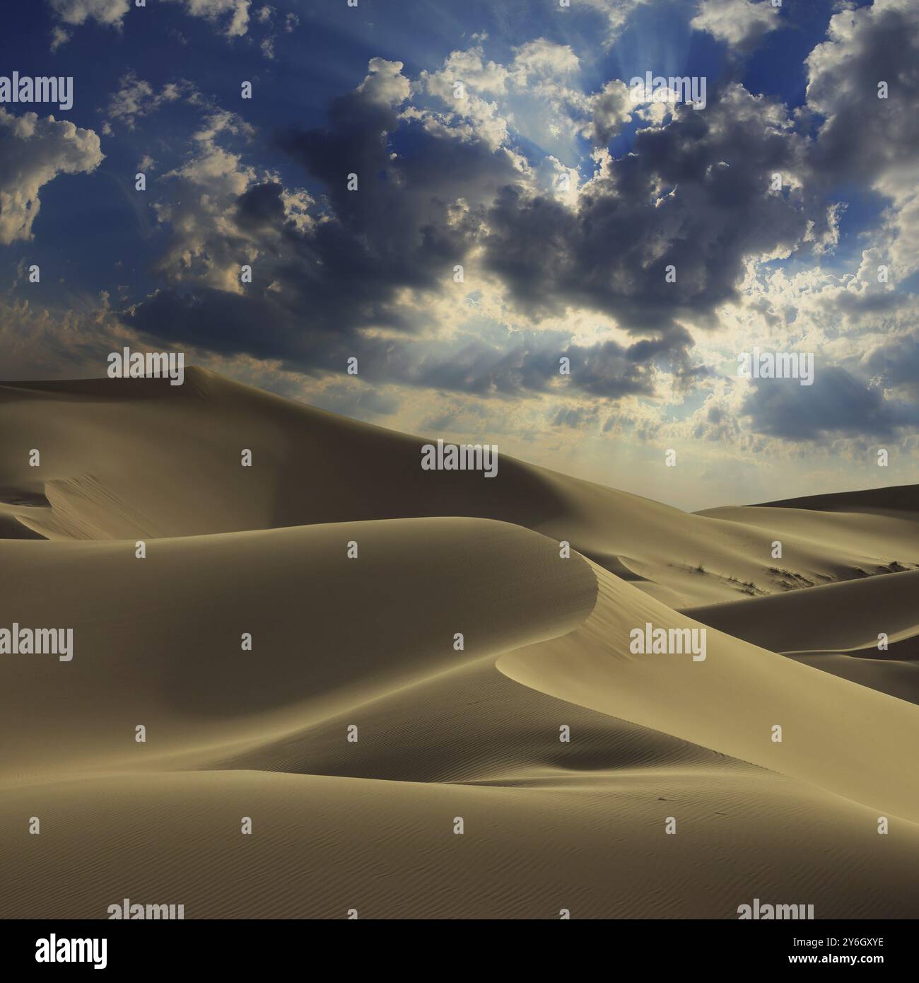 Grande dune de sable dans le paysage du désert du Sahara Banque D'Images