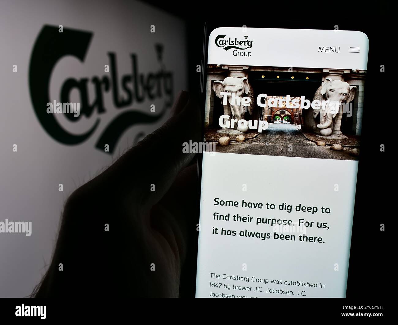 Dans cette illustration photo, une personne tient un téléphone portable avec la page Web de la brasserie danoise Carlsberg COMME devant le logo de l'entreprise. Banque D'Images