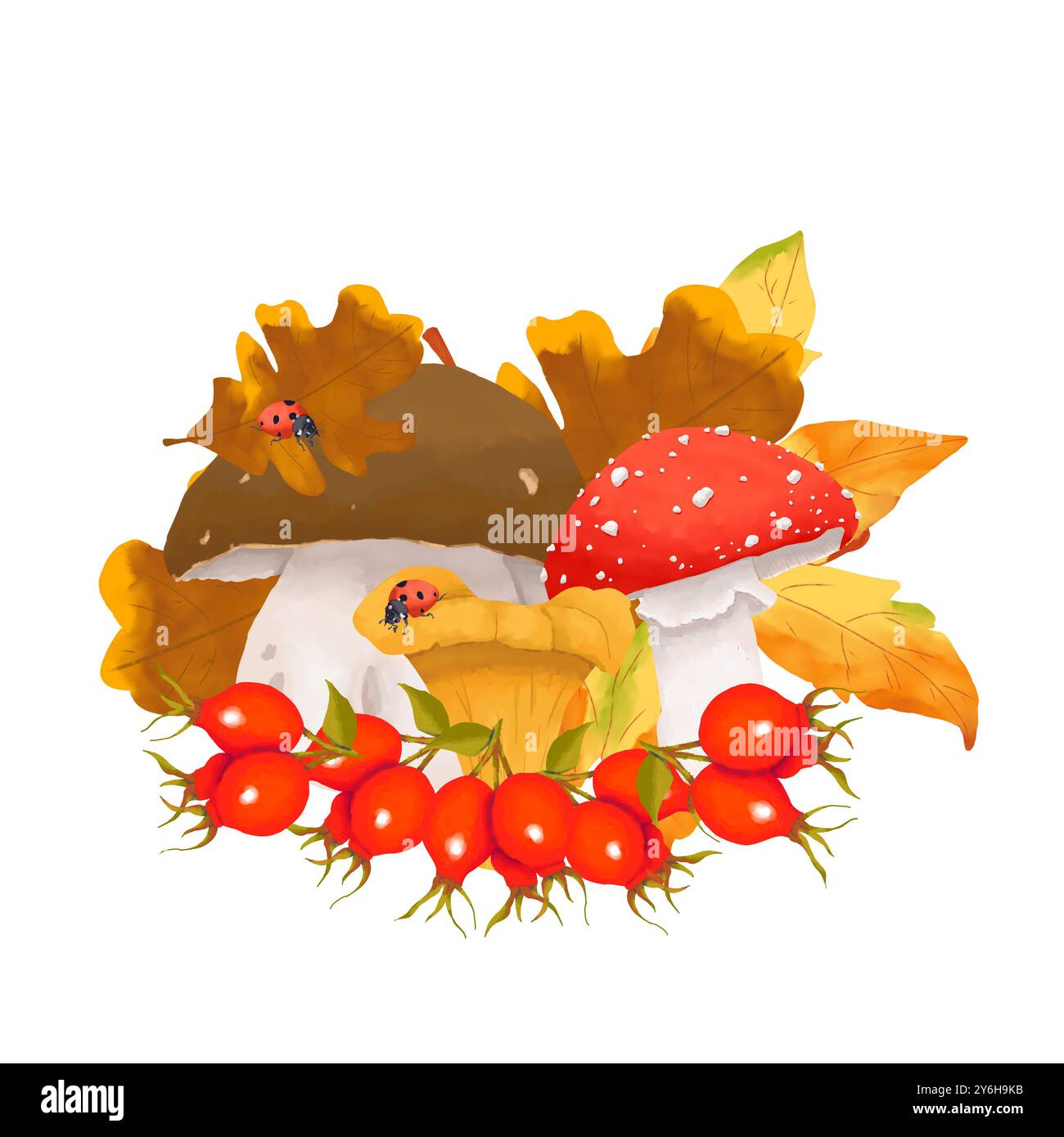Champignons avec baies de rose musquée, feuilles d'orange et coccinelles, composition d'illustration d'automne. Aquarelle numérique pour l'impression et le Web. Banque D'Images
