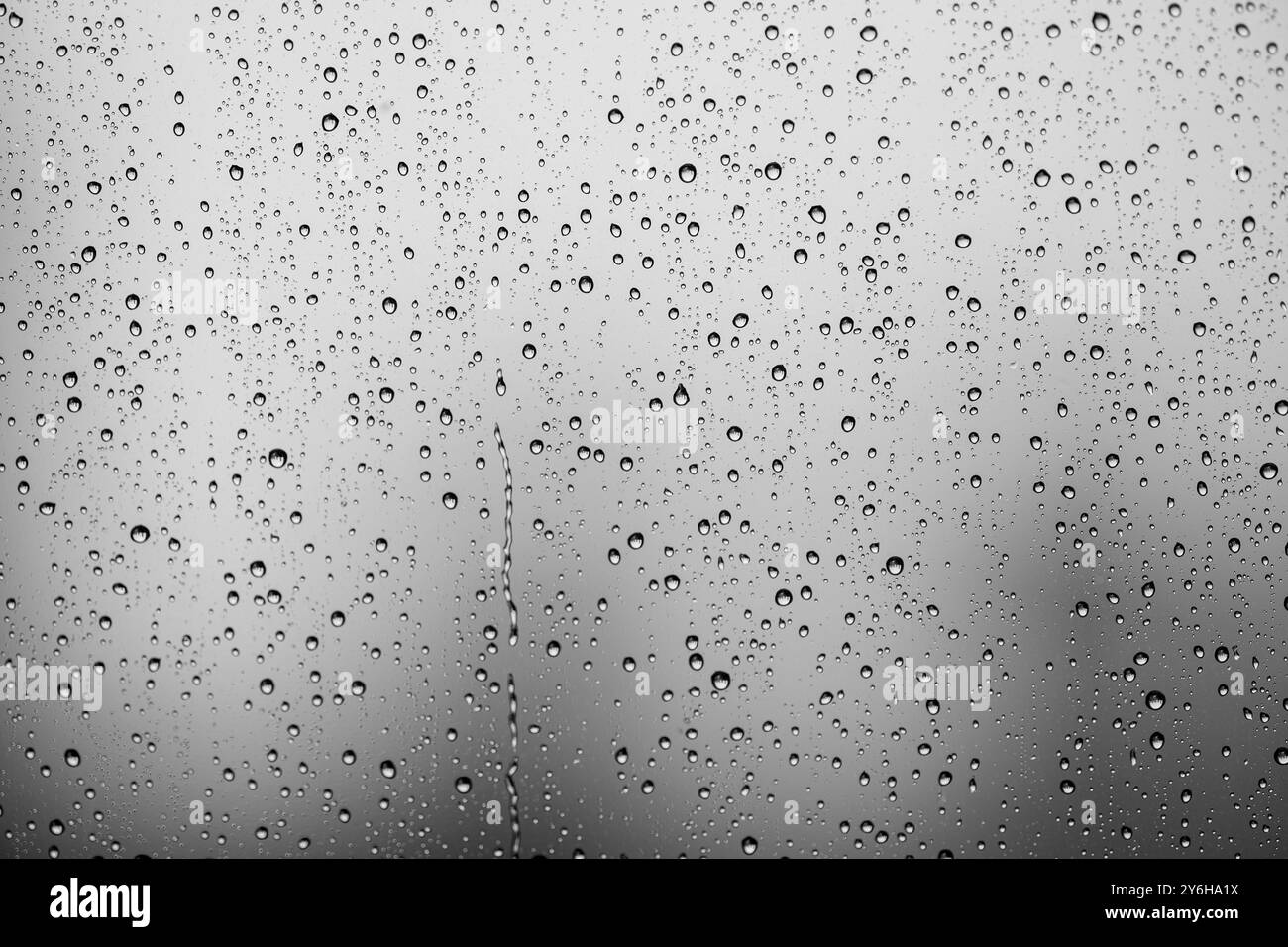 Vue abstraite des gouttes de pluie sur Window black and White Banque D'Images