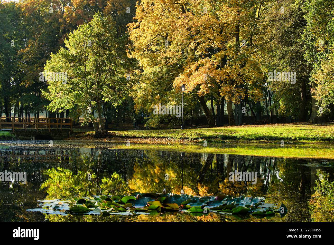 Un parc serein avec des feuillages d'automne vibrants reflétant dans un étang calme. Des arbres verts luxuriants et des feuilles colorées créent un paysage pittoresque, w Banque D'Images