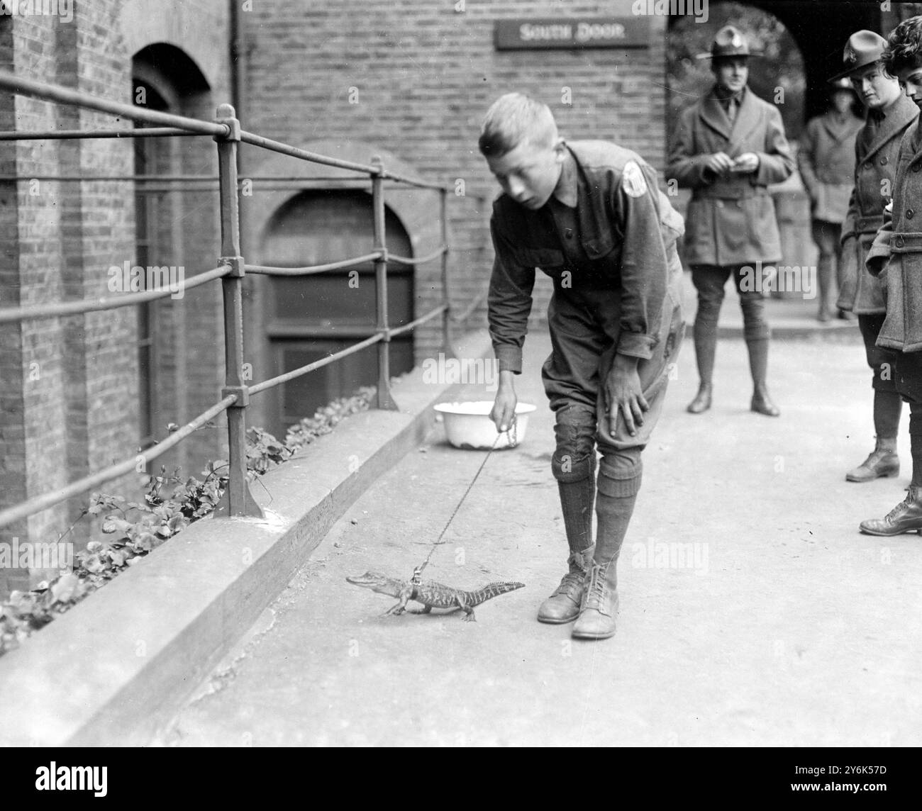 La mascotte alligator des American Boy Scouts 27 juillet 1920 Banque D'Images