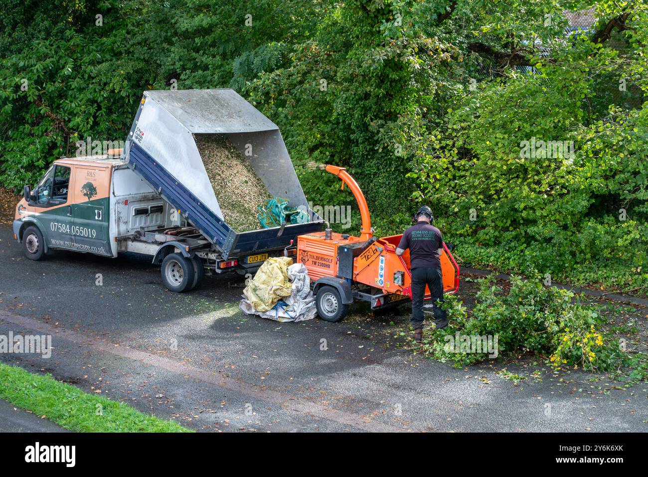 Homme arboriste entrepreneur utilisant une déchiqueteuse de bois robuste pour produire des copeaux de bois à partir de branches d'arbres coupées, Angleterre, Royaume-Uni Banque D'Images