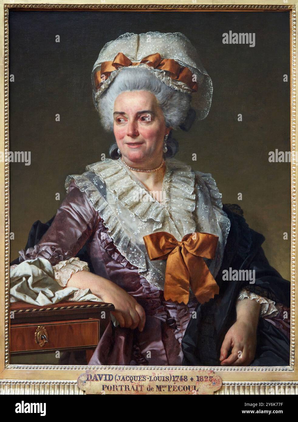 Portrait de Madame Charles-Pierre Pécoul, belle-mère de l'artiste, 1784, Jacques-Louis DAVID, Paris, 1748 - Bruxelles, 1825, Musée du Louvre, Paris, France. Banque D'Images