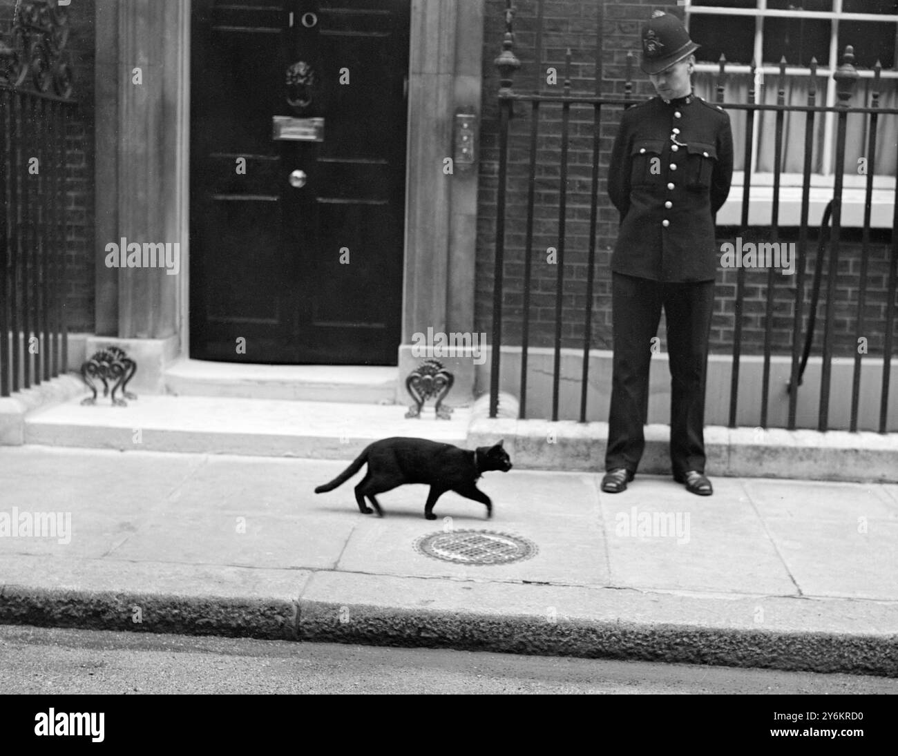 La crise européenne, 1939 le fameux chat noir du 10 Downing Street. 24 août 1939 Banque D'Images