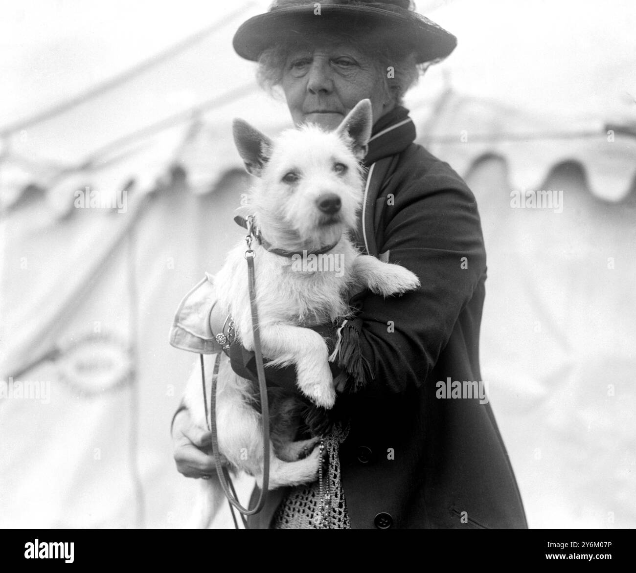 Spectacle National Terrier Club à Cambridge. L'honorable Mme Gerald Lascelles avec son Terrier blanc West Highland 'Lyndhurst Laird' Banque D'Images