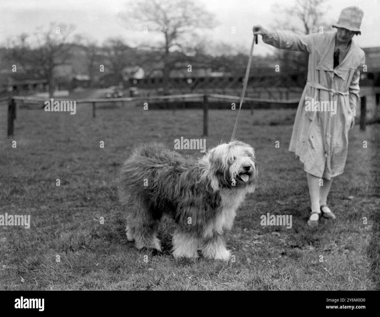 Tunbridge Wells Dog Show Kent le berger de Mme Tireman 'Corydon de pastorale'. peut-être 1920s Banque D'Images