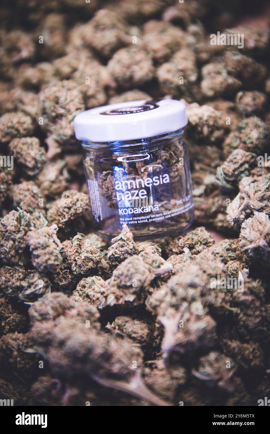 Fleurs de chanvre dans un bocal en verre. CBD Banque D'Images