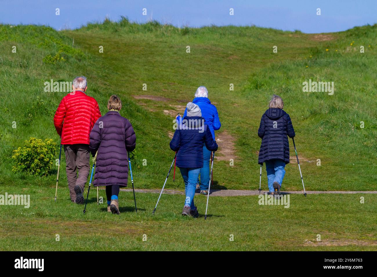 Groupe de seniors de l'arrière faisant de la marche nordique Banque D'Images