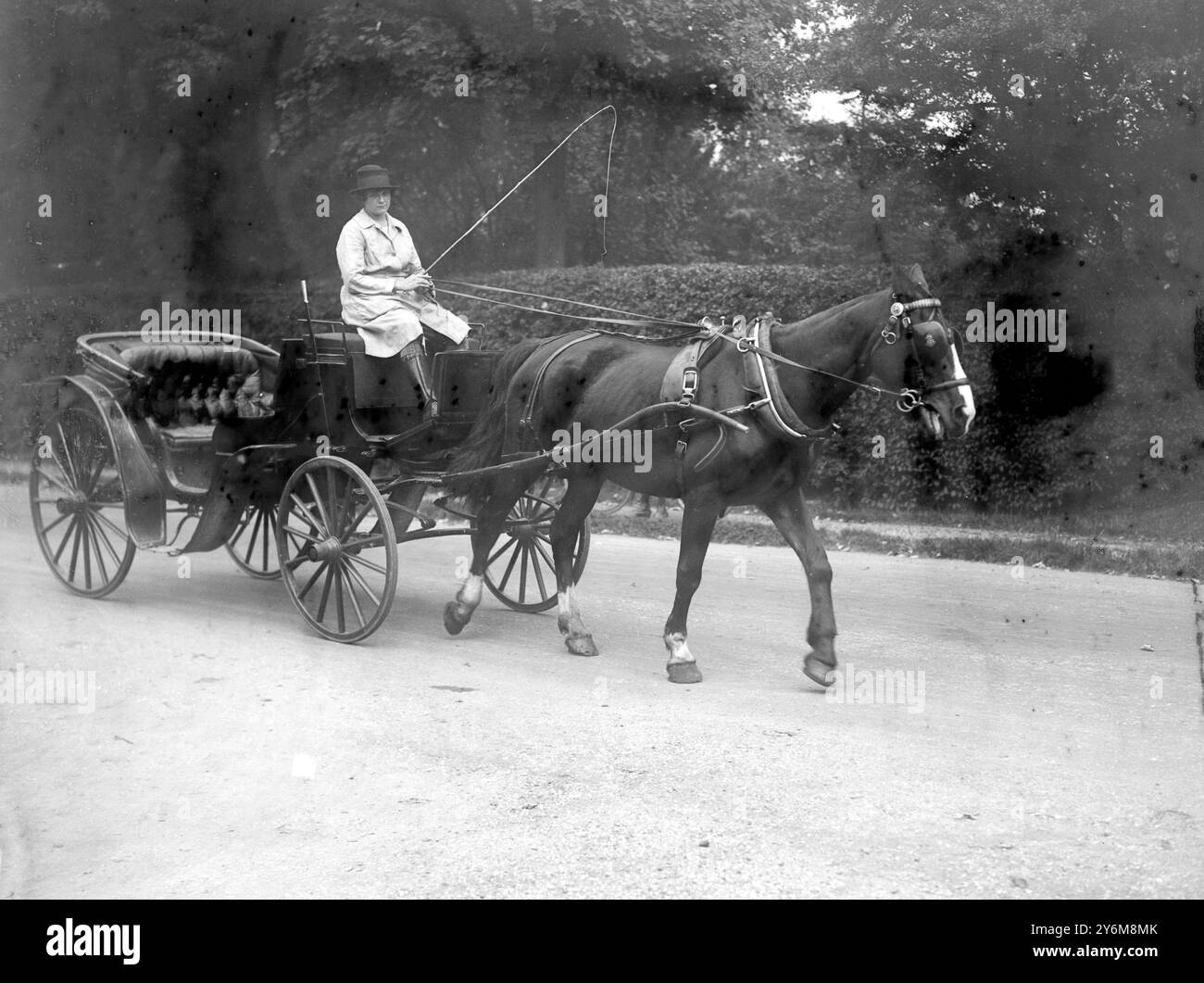 Mlle Hazel Bruce, chauffeur de van pendant la guerre. Qui gère une Livery stables à Northwood et conduit elle-même un taxi. Conduire une Victoria. 10 octobre 1920 Banque D'Images