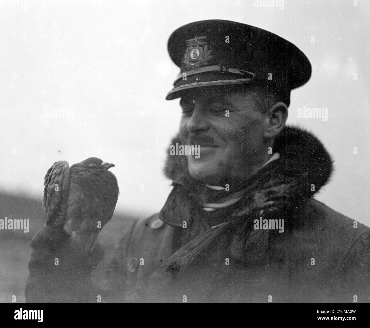 M. O.P. Jones, pilote de ligne aérienne instine, avec un pigeon voyageur belcien qui a été trouvé sur son engin à son arrivée à Croydon. 24 novembre 1923 Banque D'Images M. O.P. Jones, pilote de ligne aérienne instine, avec un pigeon voyageur belcien qui a été trouvé sur son engin à son arrivée à Croydon. 24 novembre 1923 Banque D'Images