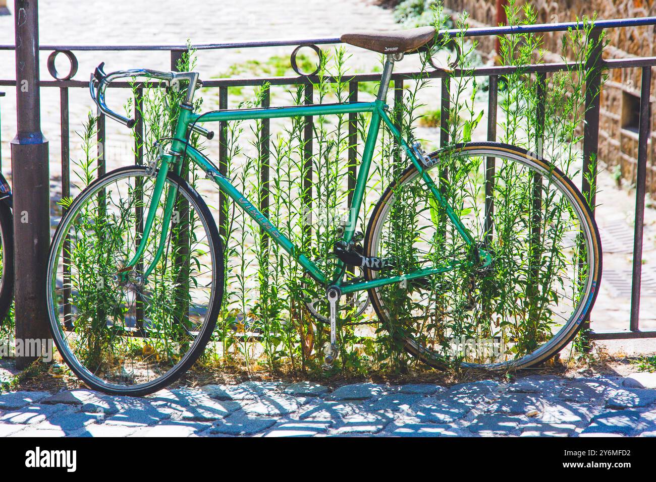 France, Paris, vélo de course vert au milieu de l'herbe à Montmartre Banque D'Images
