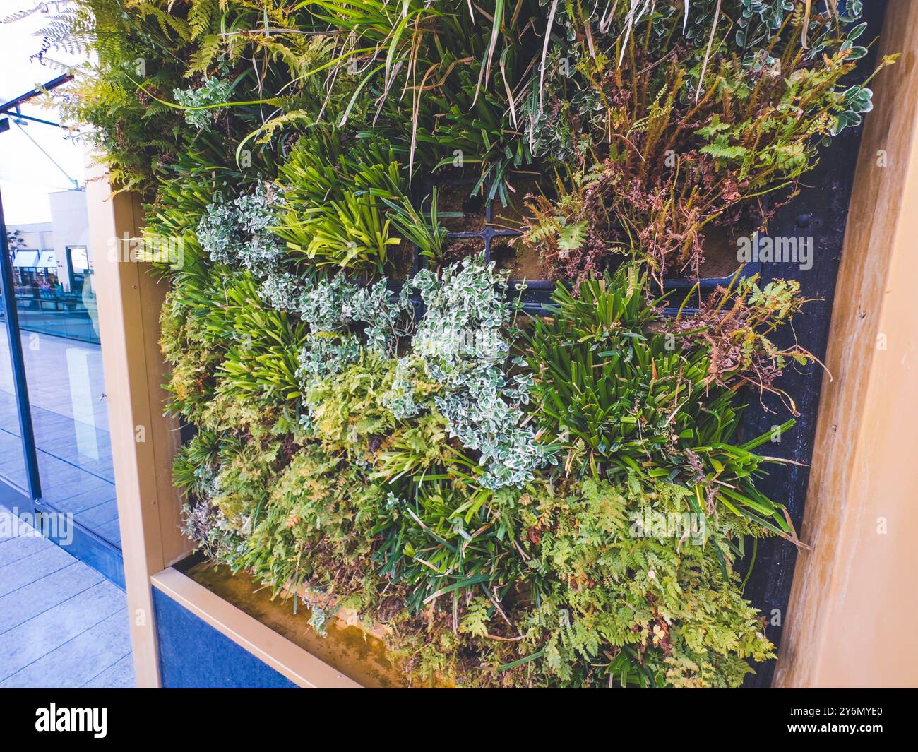 Gros plan d'un mur vert, façades de maisons traditionnelles en briques dans le centre du village Banque D'Images