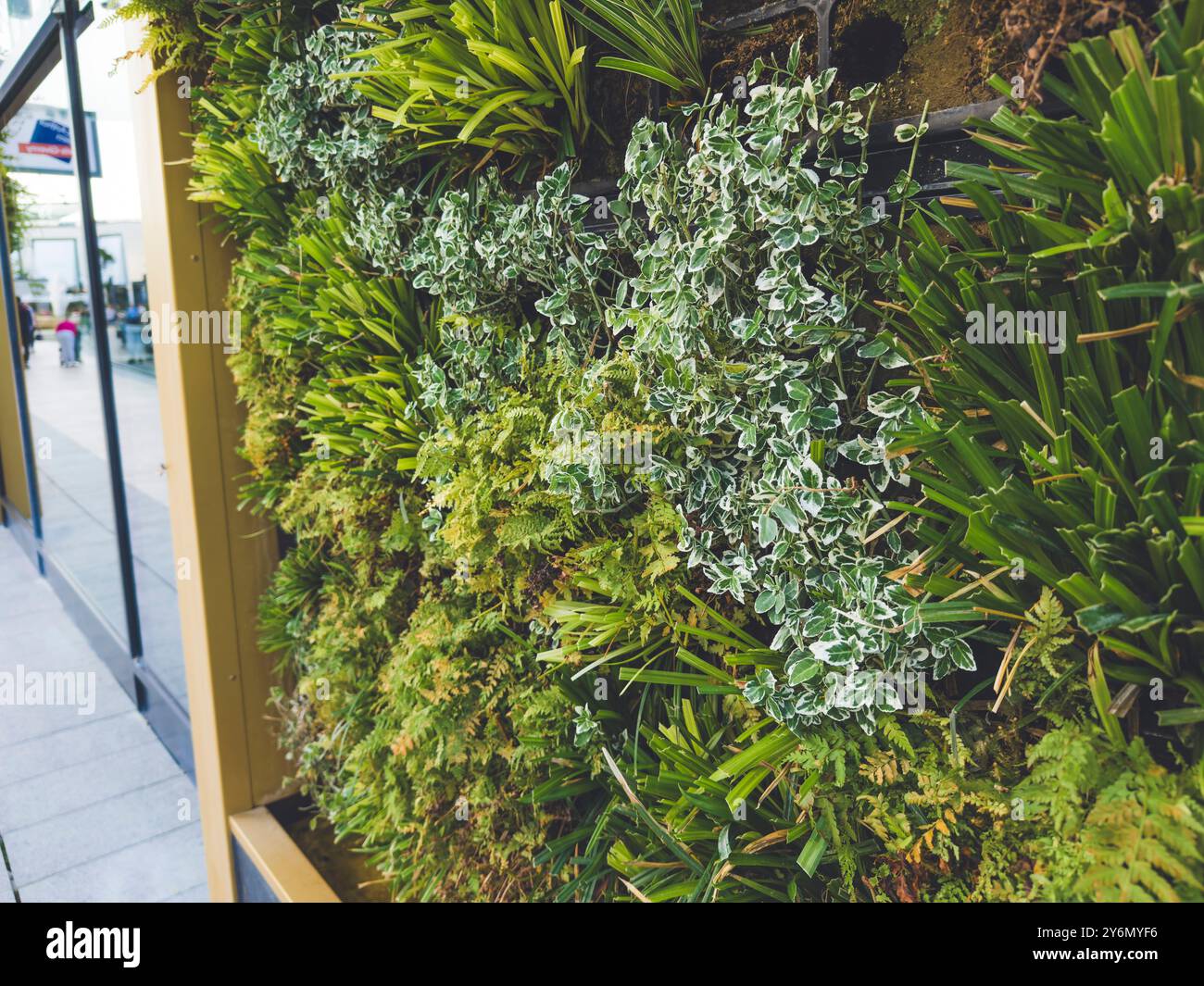 Gros plan d'un mur vert, façades de maisons traditionnelles en briques dans le centre du village Banque D'Images
