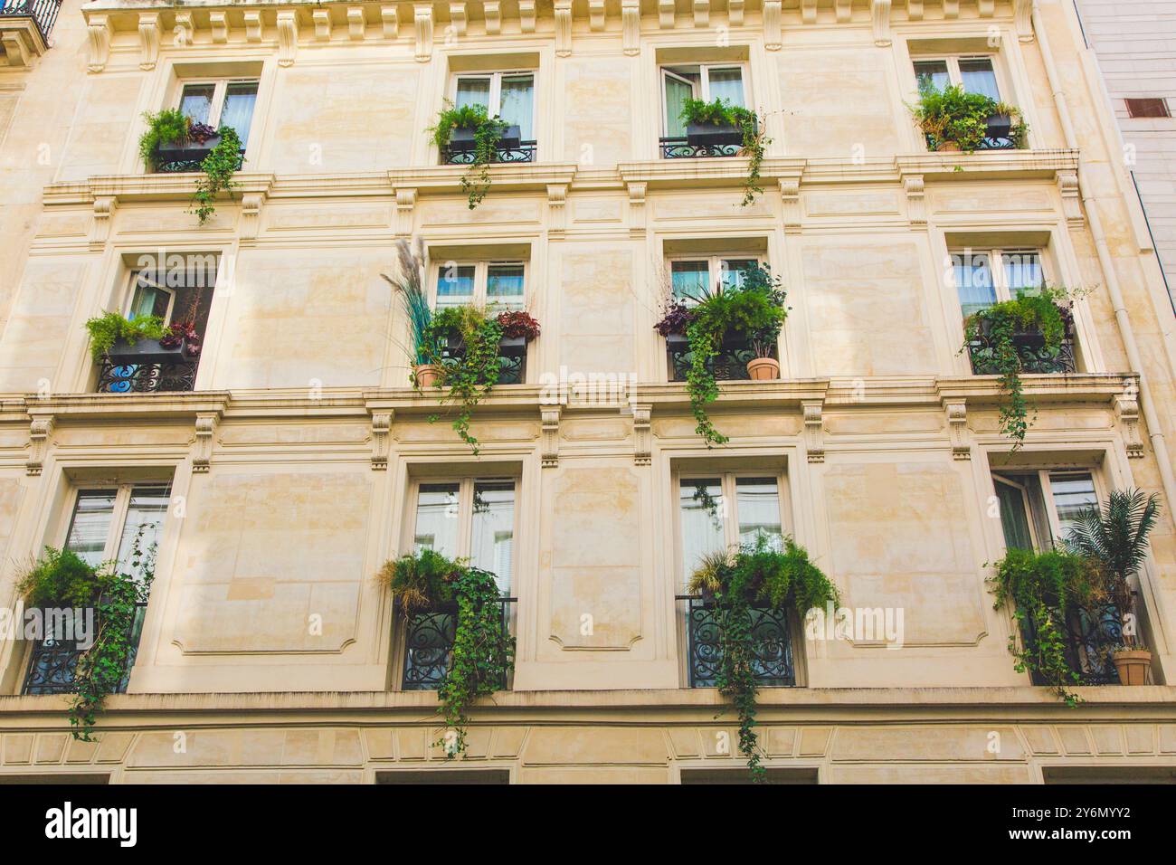 France, balcon de Paris, plantes Banque D'Images