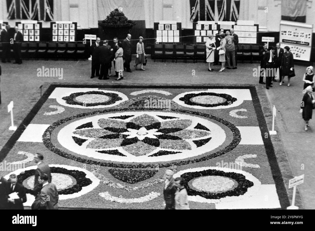 TAPIS BELGE BEGONIA ROYAL HORTICULTURAL HALL À LONDRES ; 4 AOÛT 1962 Banque D'Images