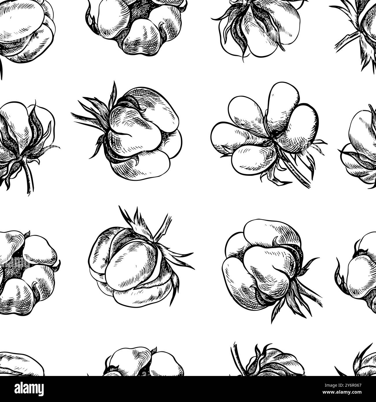 Le coton est biologique. Motif noir et blanc sans couture, illustrations vectorielles graphiques sous forme de boîtes en coton. Sur fond blanc. Pour le packagin Illustration de Vecteur