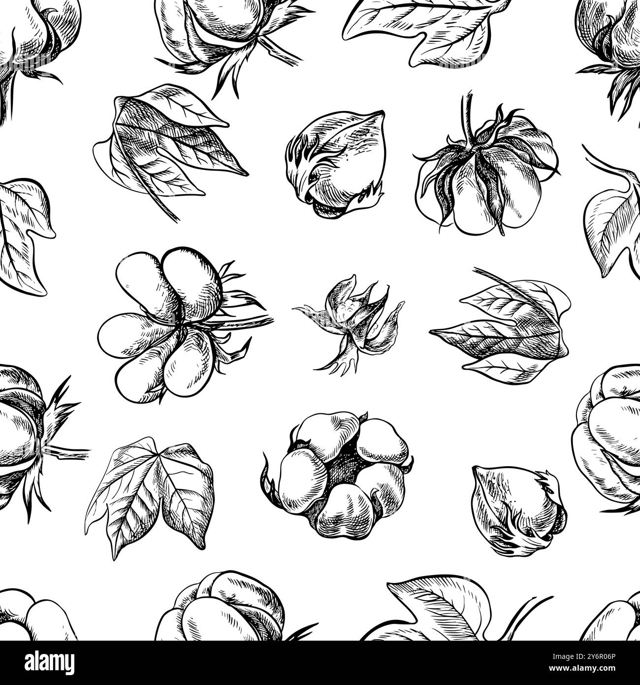 Le coton est biologique. Motif noir et blanc sans couture, illustrations vectorielles graphiques sous forme de boîtes et de feuilles de coton. Sur fond blanc. F Illustration de Vecteur