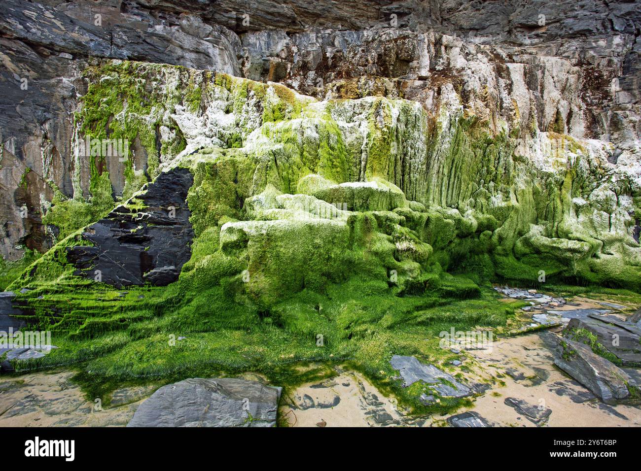 Harlyn Bay Beach, Cornwall, Angleterre, 25 juin 2024, la mousse verte couvrait des rochers à la plage Banque D'Images