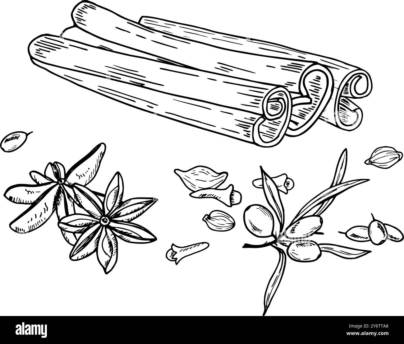 Bâtonnets de cannelle monochromes, argousier, clous de girofle, anis étoilés, dessin de gravure de graines de cardamome. Illustration isolée dessinée à la main Illustration de Vecteur