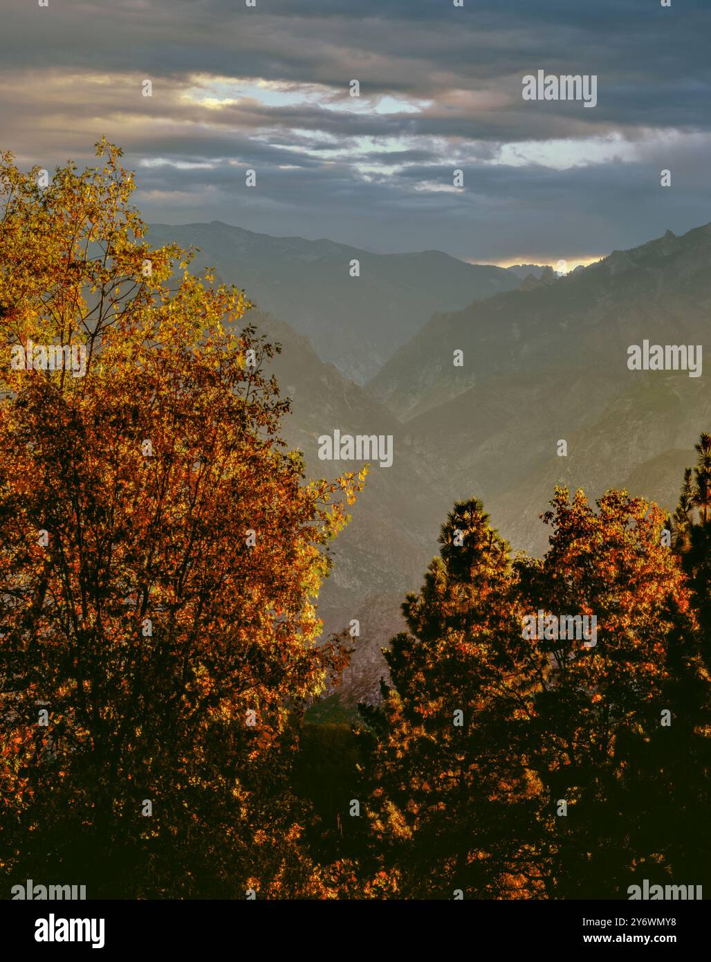 Sunset, Oaks, Monarch Divide, parc national de Kings Canyon, Californie Banque D'Images