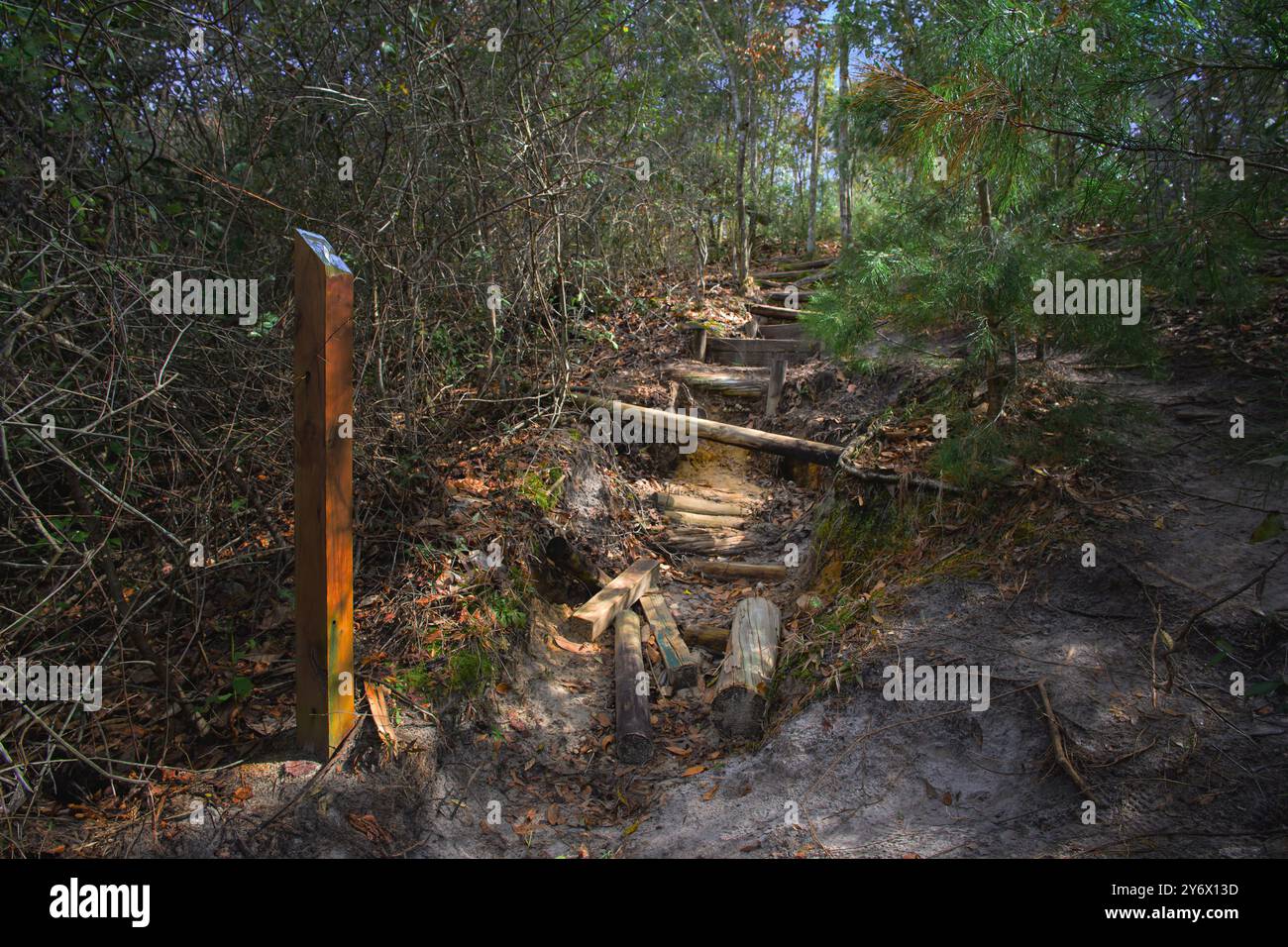 'Naviguer dans la nature. Des escaliers en bois traversent le paysage accidenté et guident les randonneurs à travers le terrain difficile du Garden of Eden Trail. » Banque D'Images