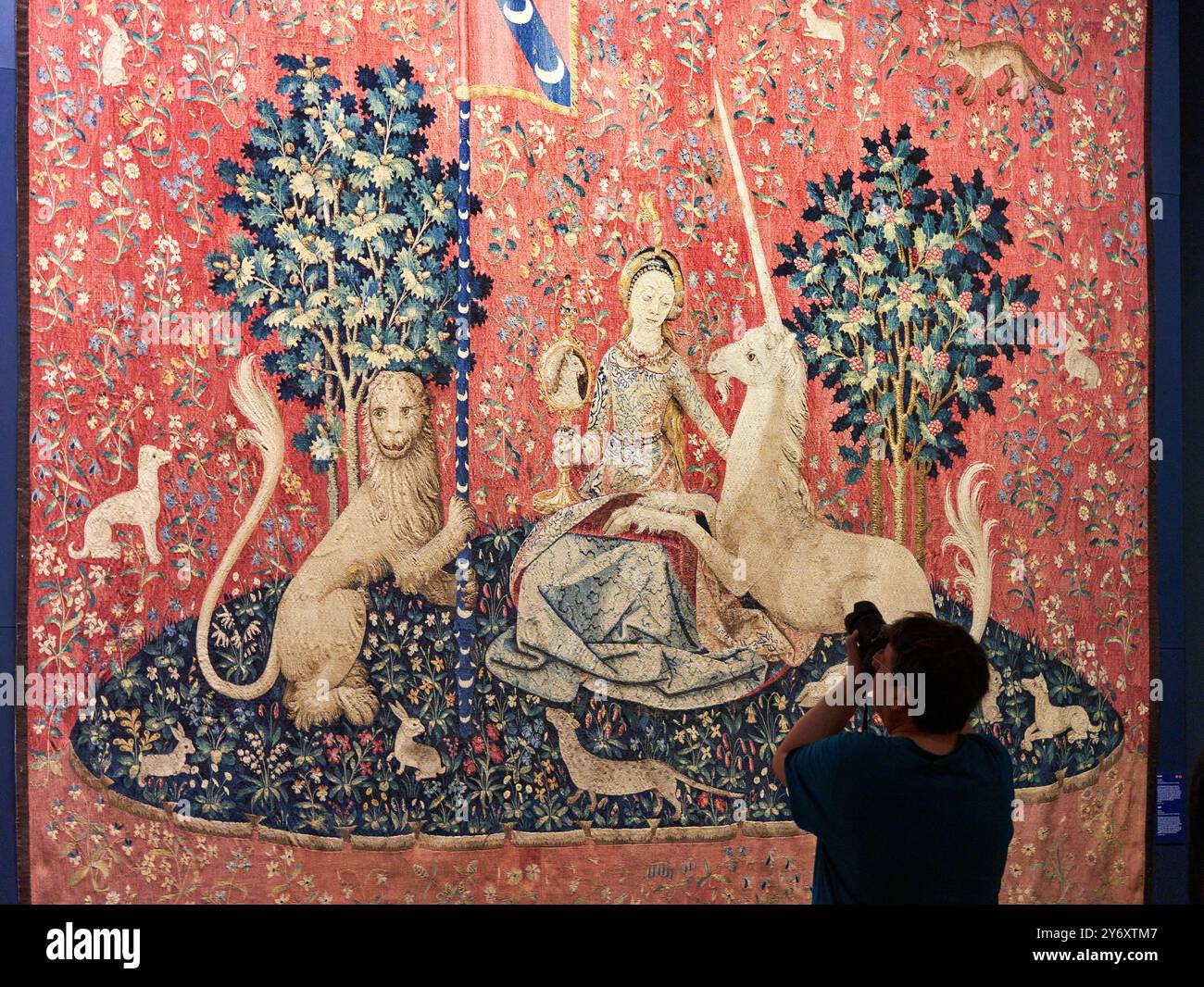 Tapisserie Murale La Dame à La Licorne - Tissage Jacquard 120x80cm, Coton