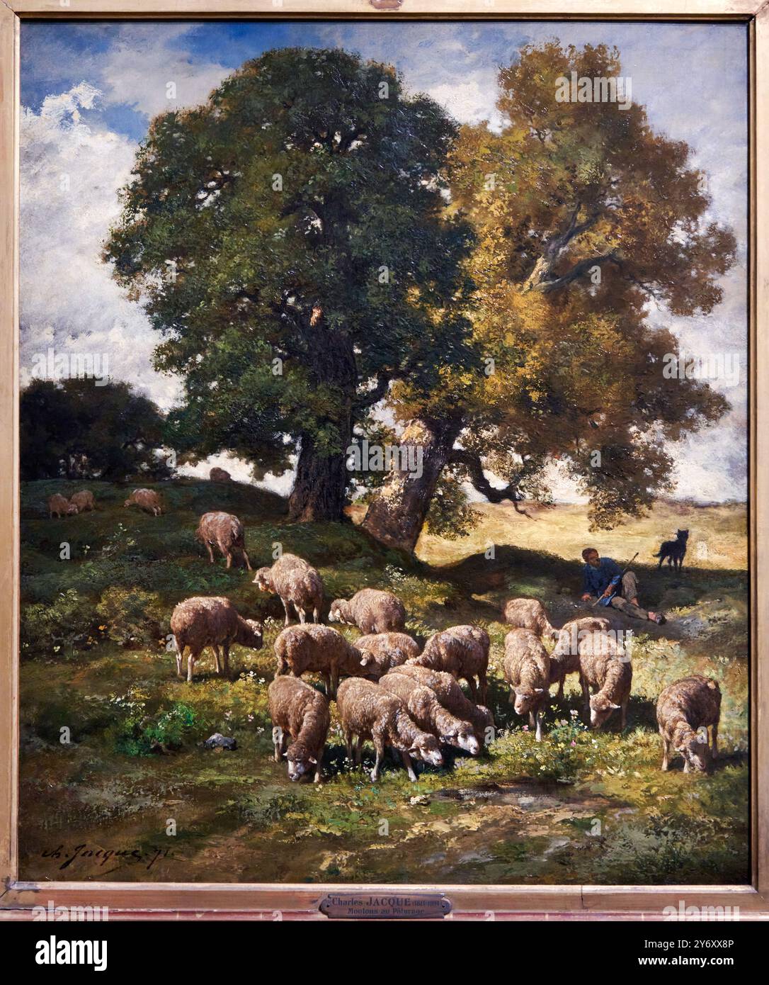 Mouton pâturant, 1871, huile sur toile, Charles Jacque (1813-1894), Musée d'Orsay, Paris, France Banque D'Images