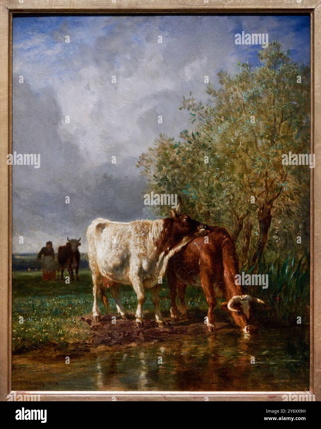 Vaches buvant à un étang, 1853, huile sur bois, constant Troyon (1810-1865), Musée d'Orsay, Paris, France Banque D'Images