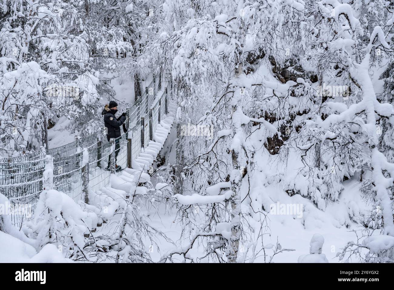 Passerelle au-dessus de la rivière dans les rapides de Myllykoski avec la forêt enneigée en hiver dans le parc national d'Oulanka (Kuusamo, Lapònia, Finlande) Banque D'Images