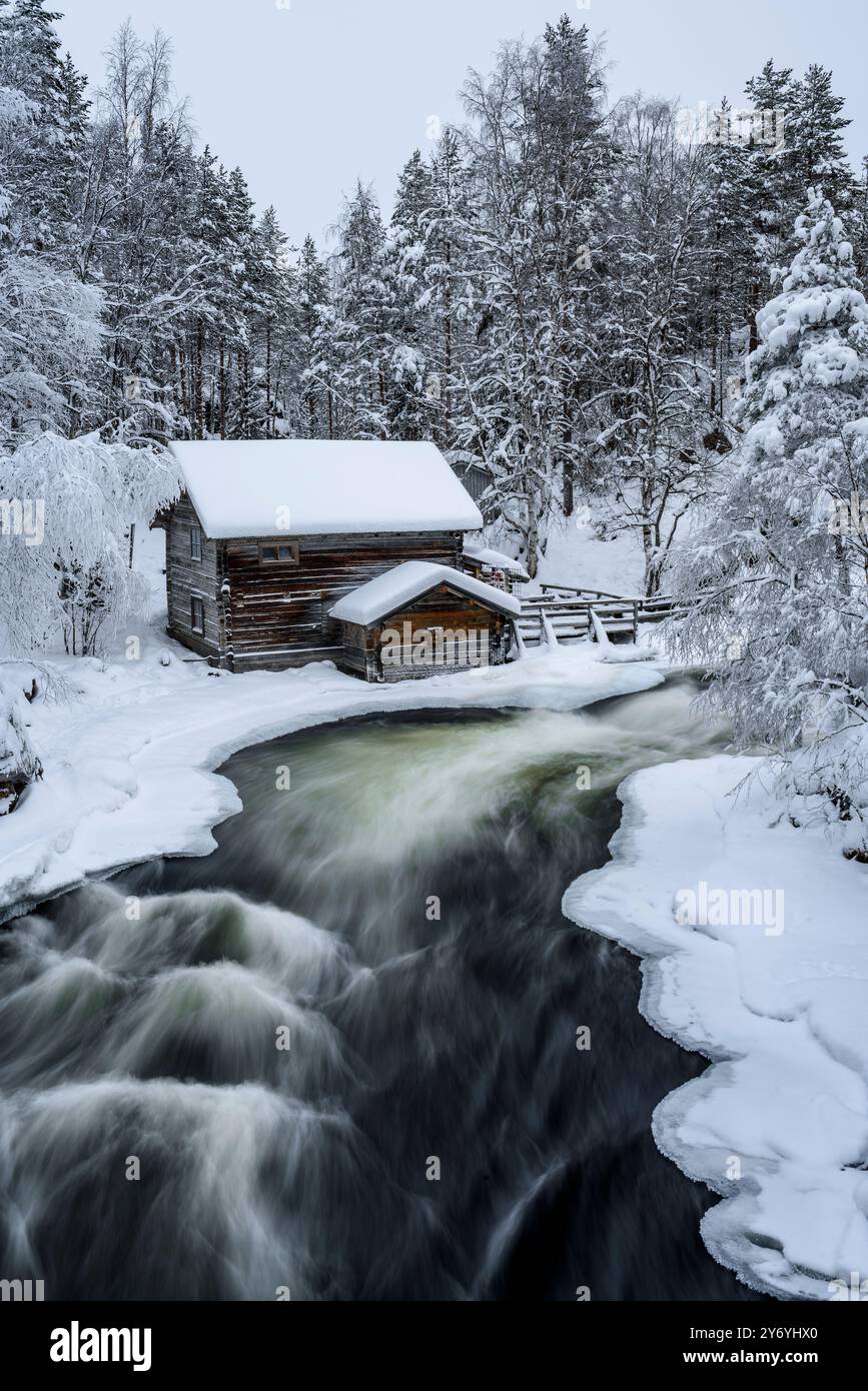 Ancien moulin de Myllykoski, couvert de neige en hiver, à côté des rapides de la rivière Kitkajoki dans le parc national d'Oulanka (Juuma Kuusamo Laponie Finlande) Banque D'Images