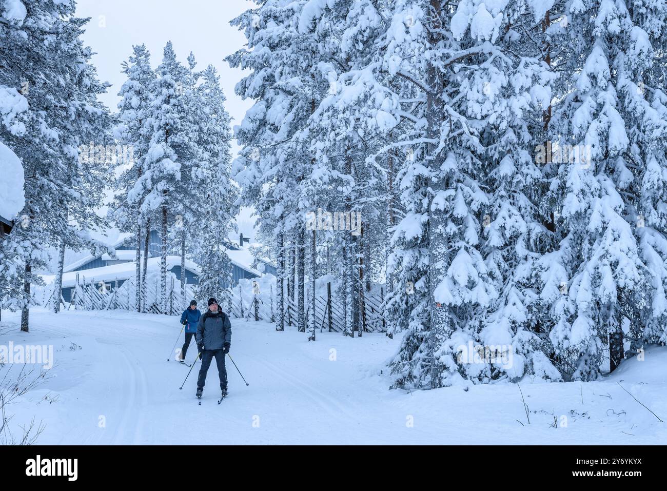 Pistes de ski nordique et de motoneige à la station de ski Levi en Laponie finlandaise, dans la forêt enneigée en hiver (Laponie, Finlande) Banque D'Images