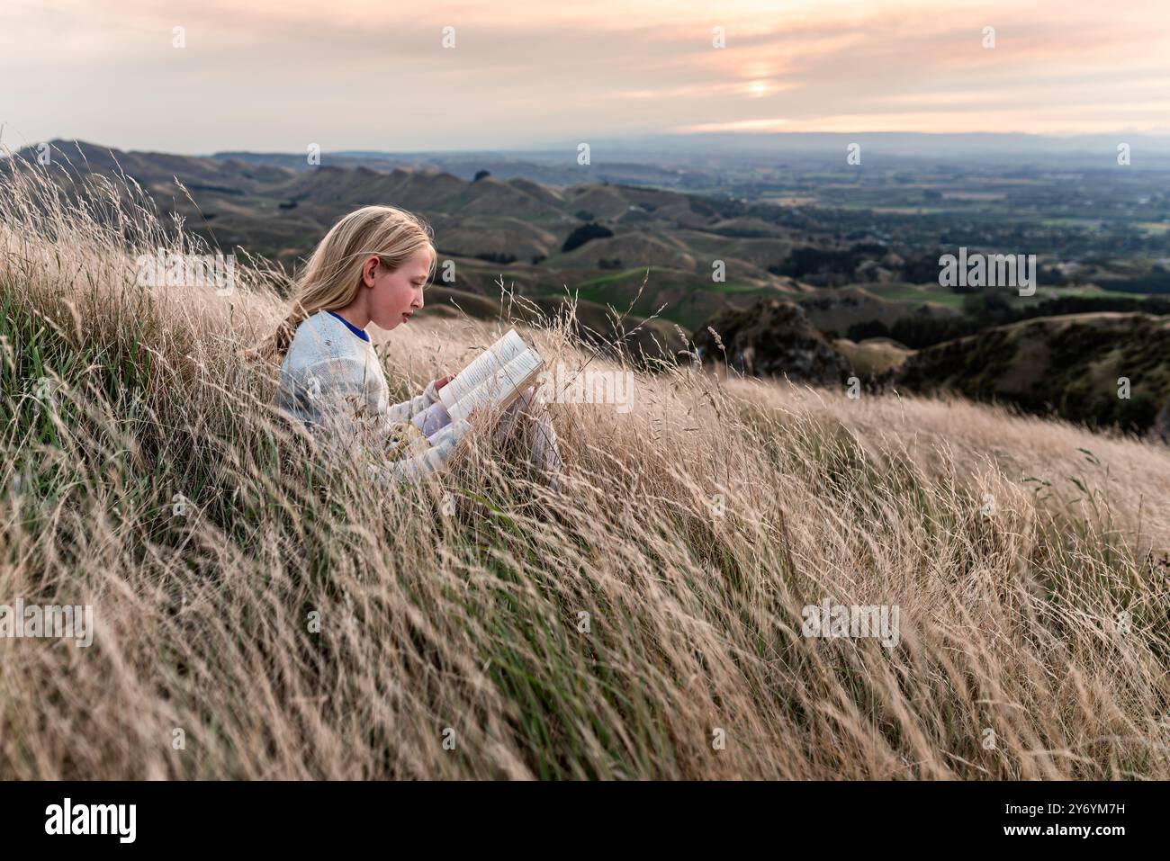 Fille lisant le livre dans l'herbe dorée au crépuscule Banque D'Images