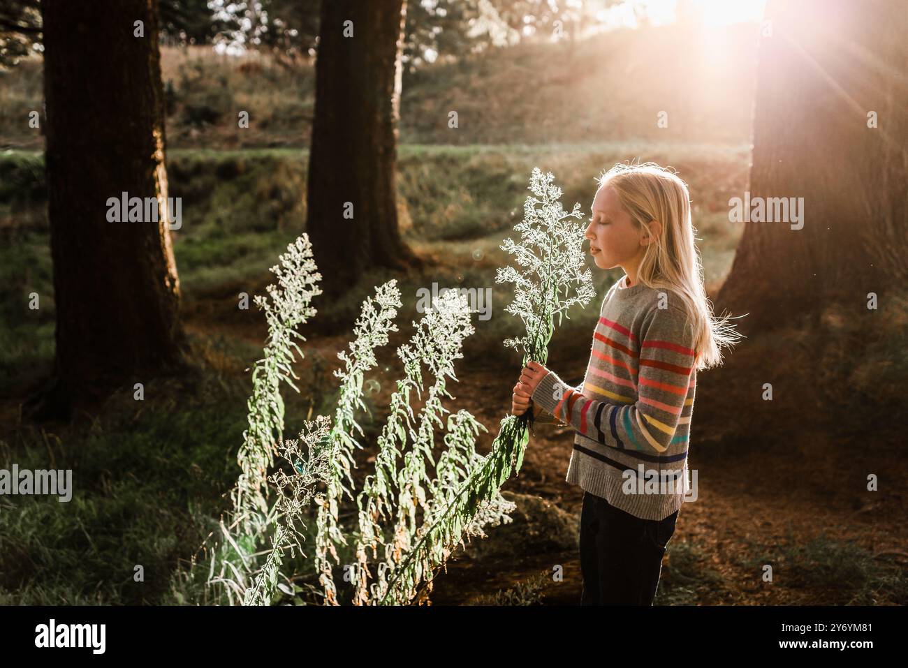 Fille sentant des fleurs dans une belle lumière Banque D'Images